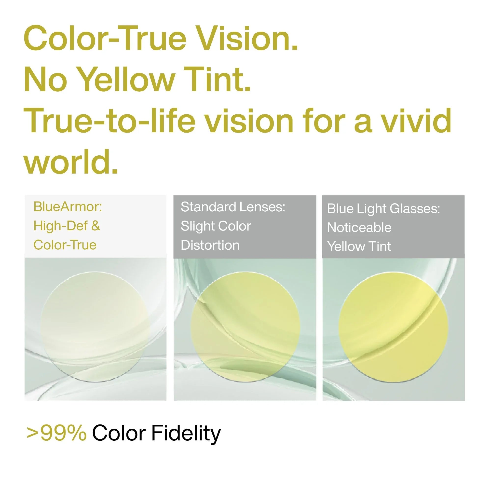 BlueArmor 6-Month - Youto Shop